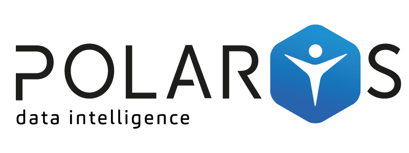 Polarys Conseil, mise en œuvre et maintenance de vos projets data intelligence